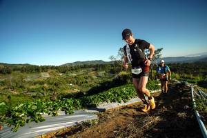 BIB: 
                            <button type="button" onclick="openModal(19113269)" class="btn btn-primary btn-sm float-right btn-popup" data-toggle="modal" data-target=".modal-high-quality">
                        <i class="fas fa-shopping-cart"></i> Add to Cart
                    </button>
                                            <button type="button" onclick="isThisMe(19113269, true)" class="btn btn-success btn-sm float-right btn-popup btn-isme hidden" data-toggle="tooltip" data-placement="bottom" title="นี่คือรูปของคุณใช่ไหม คลิกที่นี่เพื่อเอาเข้าอัลบั้ม">
                        <i class="fas fa-plus"></i> Add to album
                    </button>
                    <button type="button" onclick="isThisMe(19113269, false)" class="btn btn-warning btn-sm float-right btn-popup btn-isnotme hidden">
                        <i class="fas fa-ban"></i> Remove from album
                    </button>